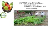 Presentación del programa de soberanía alimentaria de urocal a universidad andina