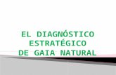 DIAGNOSTICO ESTRATEGICO DE GAIA