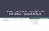 Banco nacional de crédito agrícola (Banagrícola)
