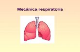 Mecanica respiratoria