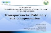 Municipalidades transparencia  3 de julio 2013