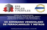 EPS Rieles: Construcción nacional de rieles para vías férreas y viviendas - VII SEVEFEME 2011