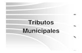 Los Tributos Municipales