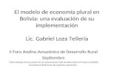 El modelo de economía plural en Bolivia: una evaluación de su implementación