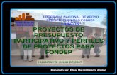 Proyectos de Presupuesto Participativo y Perfiles de Proyectos para FONDEP