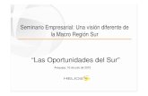 100716 oportunidades del_sur_rene_cornejo
