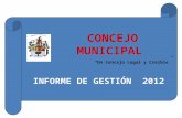 Informe de Gestion concejo  2012