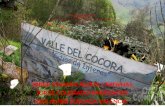 Evaluación integrada del proyecto de cercas vivas y rotación de praderas en el Valle de Cócora,Presentación grupo 5, Septiembre de 2013