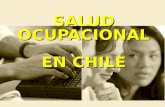 Salud Ocupacional 2007 Clase 2