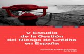 V Estudio gestión riesgo de crédito en España