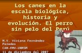 Los Canes en la Escala Biológica doctora Viviana Fernández