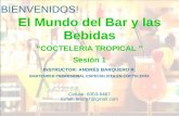 ACAB Professionals- Presentacion PPT general - BAR, BEBIDAS Y MIX