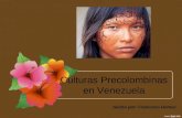 Culturas precolombinas en venezuela