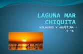 Laguna mar chiquita maquina 3