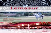 Lemasur - Revista 4º trimestre 2010