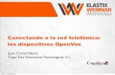 Conectando a la red telefónica: Dispositivos Openvox
