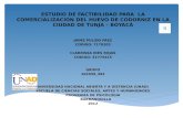 Estudio de factibilidad para  la comercialización del huevo de codorniz en la ciudad de tunja – boyacá