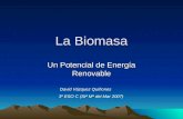 La Biomasa