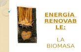 Energías Renovables: La Biomasa