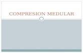 Compresion medular