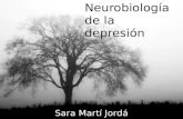Neurobiología de la depresión