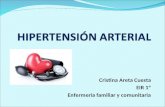 (2012-12-12) HIPERTENSION ARTERIAL (PPT)