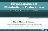 Metabolismo fosfocálcico 2014