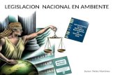 Legislacion Nacional Venezolana en Ambiente