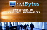 Portafolio netBytes 2012