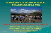 COORPORACION REGIONAL PARA EL DESARROLLO DE LA TAYA - PROCESO CONSTITUCION CODETAYA CAJAMARCA