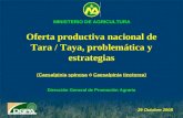 Oferta productiva nacional de Tara / Taya, problemática y estrategias.