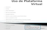 Plataforma virtual (1)