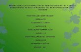 Mejoramiento de los_niveles_de_la_produccion_agricola