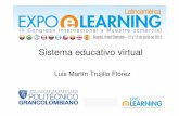 Panel expertos: Modelos - "Sistema educativo virtual"