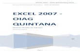 Excel 2007 OIAG