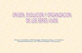 ORIGEN, EVOLUCION Y ORGANIZACION  DE LOS SERES VIVOS