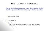 Niveles de organizacion  Histologia Vegetal