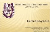 Expo De Eritropoyesis 2003