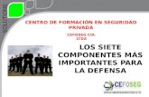 04 CS componentes de la defensa