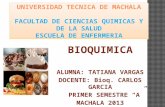 Diapositiva Bioquímica Metabolismo Lipídico.