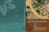 Minería en Colombia: Institucionalidad y territorio, paradojas y conflictos