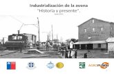 Industrialización de la Avena (Hernan Soto Piñeiro)