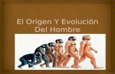 El origen y evolución del hombre final