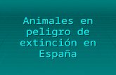 Animales En Peligro De ExtincióN En EspañA