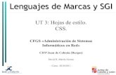 LM-UT3: CSS