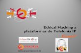 Ethical hacking en Plataformas de Voz Sobre IP (Elastix)