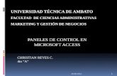 Diapositivas panel de control access christian reyes c.