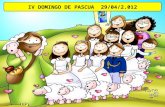 IV Domingo de Pascua 2012