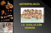 Antropologia y La Evolucion Humana