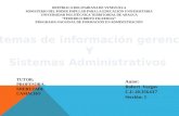 sistemas información gerencial y administrativos